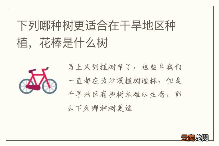 下列哪种树更适合在干旱地区种植，花棒是什么树