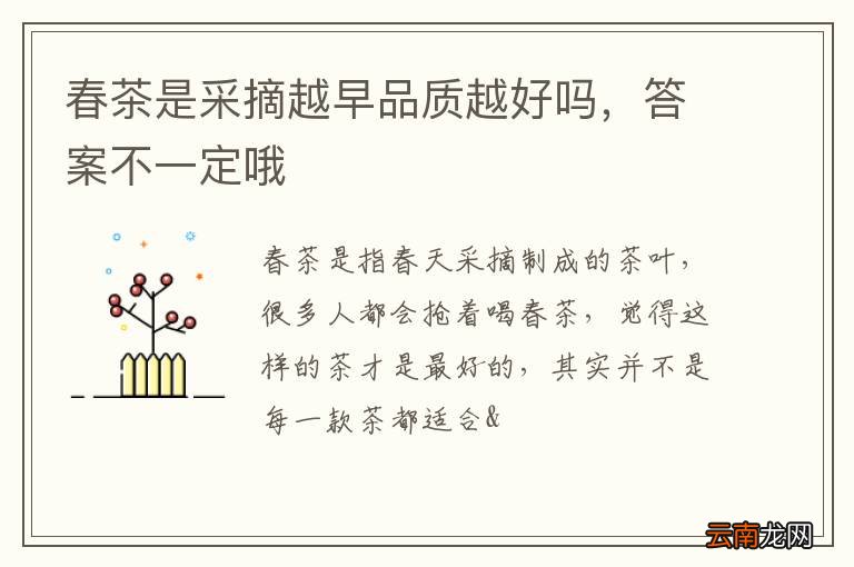 春茶是采摘越早品质越好吗，答案不一定哦