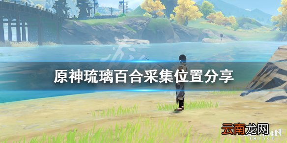 原神琉璃百合哪里最多 原神琉璃百合采集位置分享