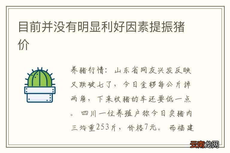 目前并没有明显利好因素提振猪价