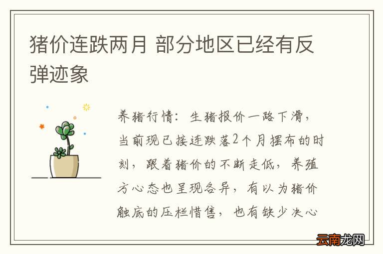 猪价连跌两月 部分地区已经有反弹迹象