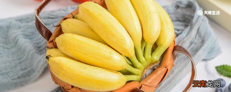 香蕉能不能放袋子里捂 香蕉能放在袋子里吗