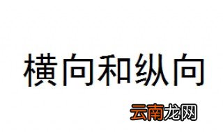 横向和纵向是什么意思 一篇告诉你