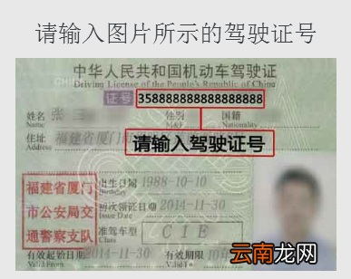 驾驶证扣分查询怎么查？你的驾照还剩几分