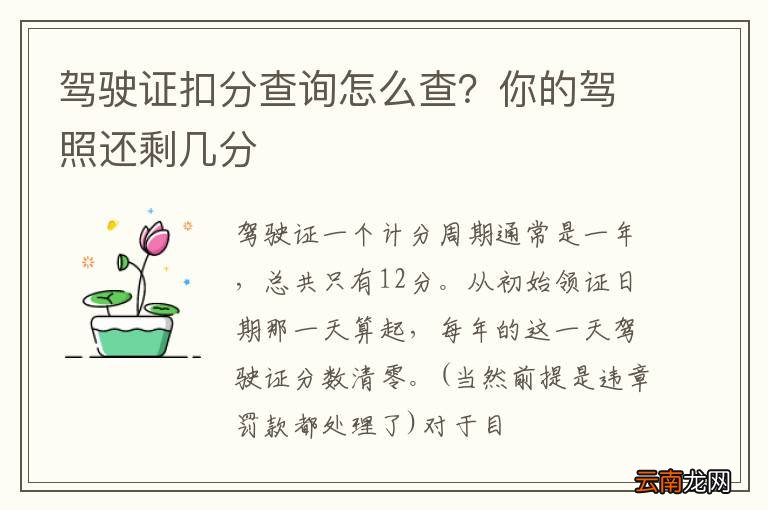 驾驶证扣分查询怎么查？你的驾照还剩几分