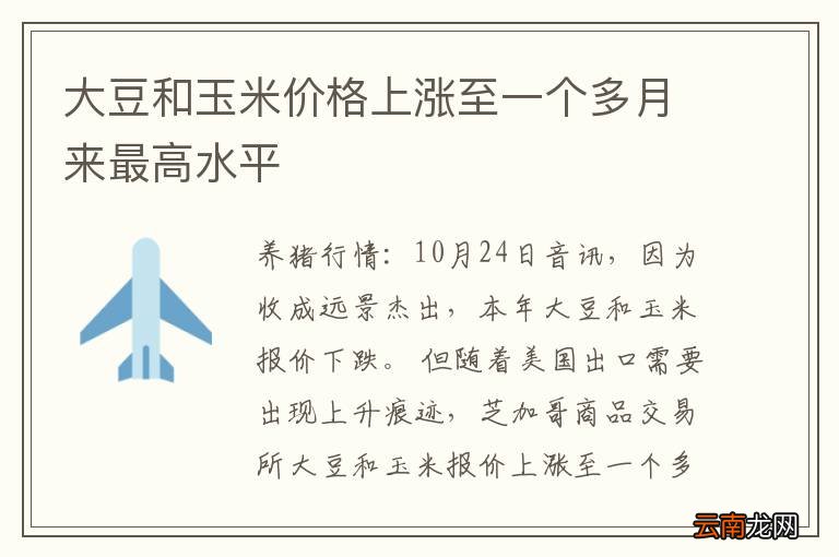 大豆和玉米价格上涨至一个多月来最高水平