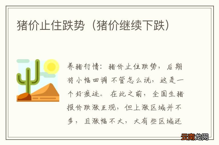 猪价继续下跌 猪价止住跌势