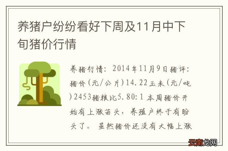 养猪户纷纷看好下周及11月中下旬猪价行情