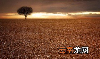 舞蹈教师对孩子的寄语 看这里