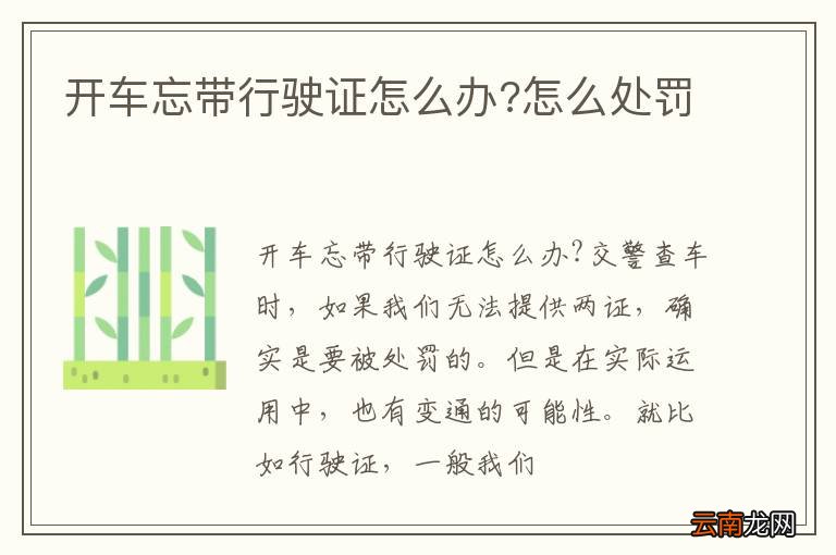 开车忘带行驶证怎么办?怎么处罚