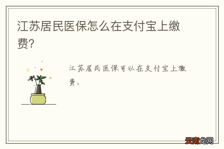 江苏居民医保怎么在支付宝上缴费？