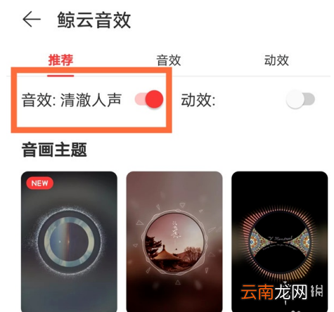 网易云音乐鲸云音效怎么更改 网易云音乐鲸云音效更改方法