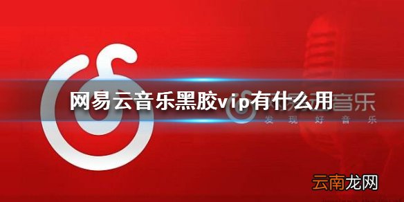 网易云音乐黑胶vip有什么用 黑胶会员特权介绍