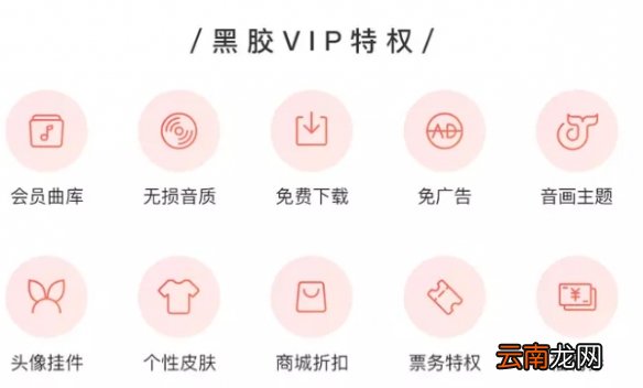 网易云音乐黑胶vip有什么用 黑胶会员特权介绍