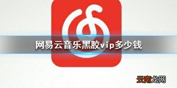 网易云音乐黑胶vip多少钱 黑胶会员价格介绍