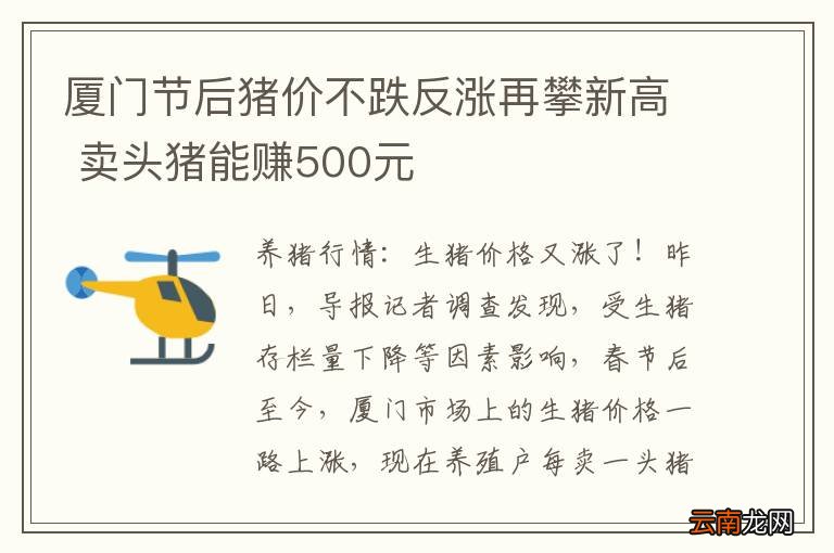 厦门节后猪价不跌反涨再攀新高 卖头猪能赚500元