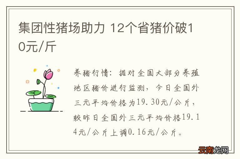 集团性猪场助力 12个省猪价破10元/斤