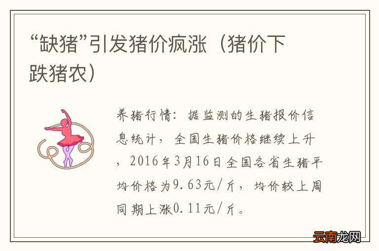 猪价下跌猪农 “缺猪”引发猪价疯涨