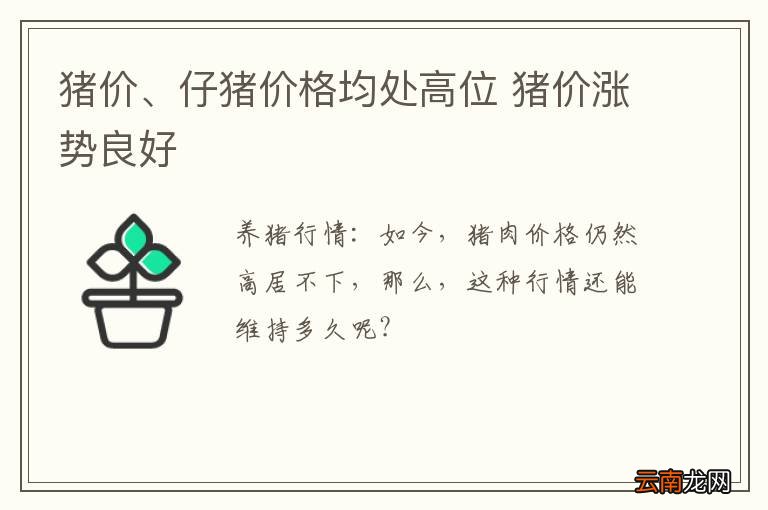 猪价、仔猪价格均处高位 猪价涨势良好