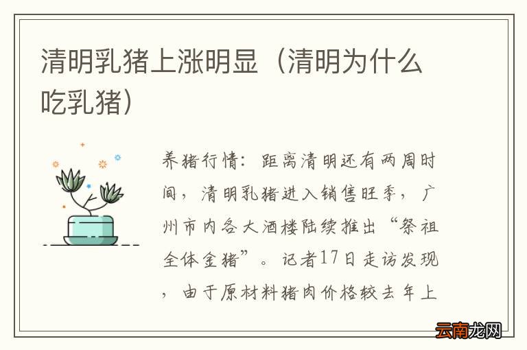 清明为什么吃乳猪 清明乳猪上涨明显