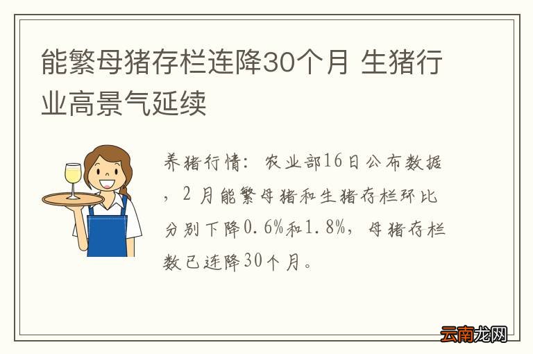 能繁母猪存栏连降30个月 生猪行业高景气延续