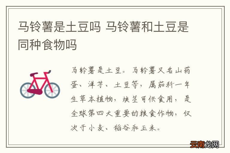马铃薯是土豆吗 马铃薯和土豆是同种食物吗