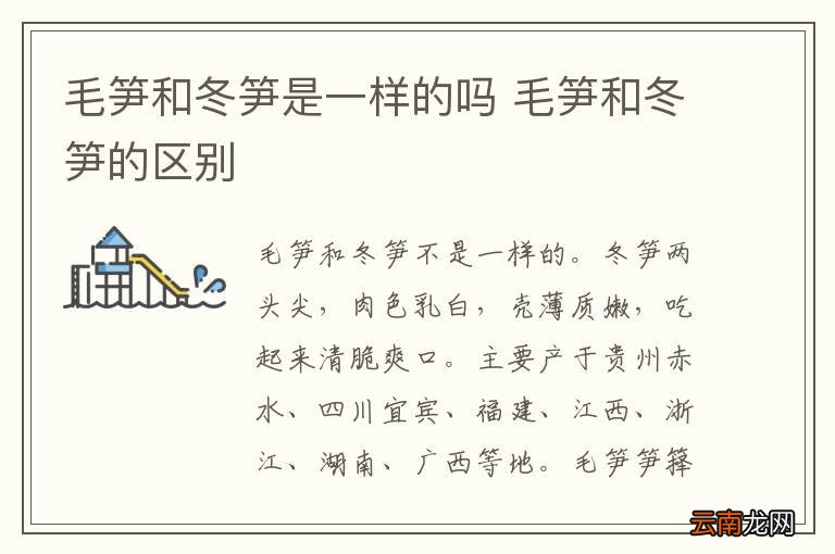 毛笋和冬笋是一样的吗 毛笋和冬笋的区别
