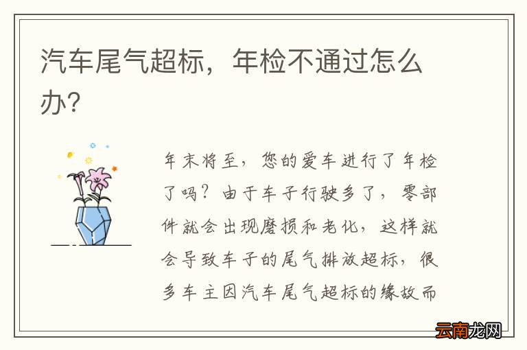 汽车尾气超标，年检不通过怎么办？