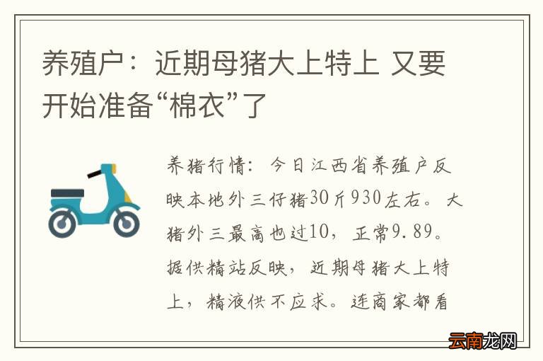 养殖户：近期母猪大上特上 又要开始准备“棉衣”了