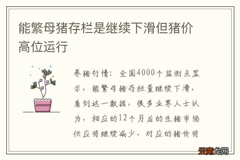 能繁母猪存栏是继续下滑但猪价高位运行