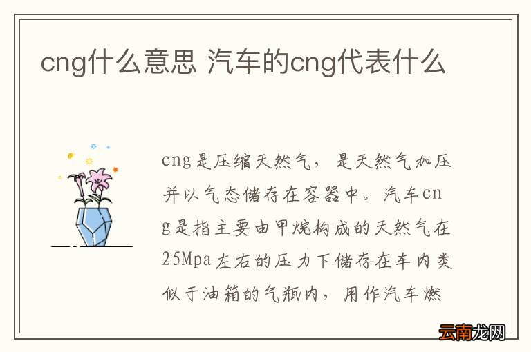 cng什么意思 汽车的cng代表什么