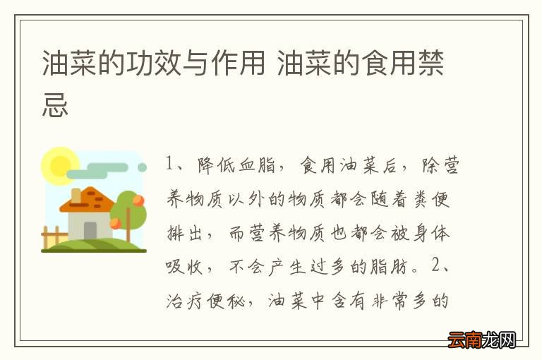 油菜的功效与作用 油菜的食用禁忌