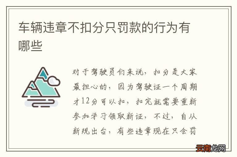 车辆违章不扣分只罚款的行为有哪些