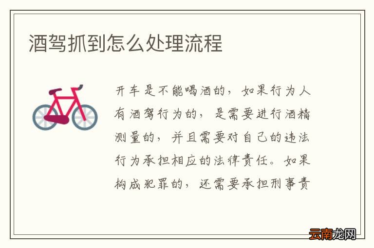 酒驾抓到怎么处理流程