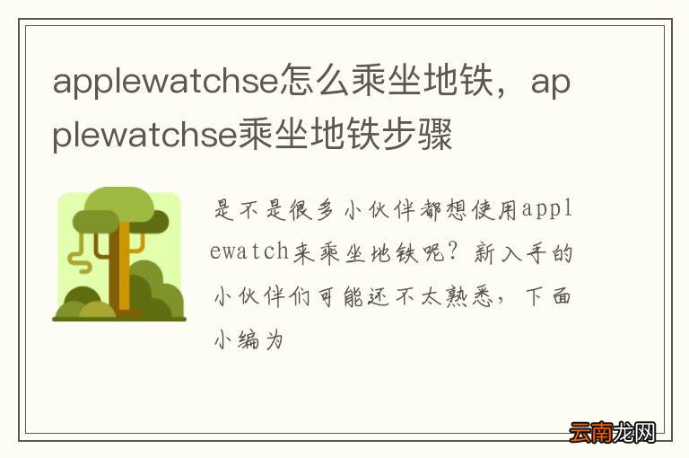 applewatchse怎么乘坐地铁，applewatchse乘坐地铁步骤