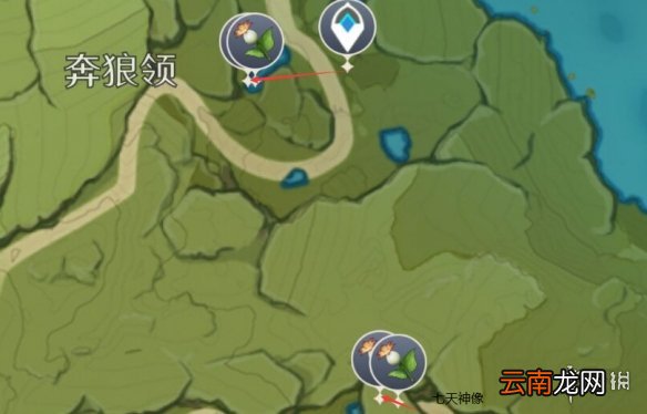 原神嘟嘟莲哪里多 原神嘟嘟莲采集位置推荐