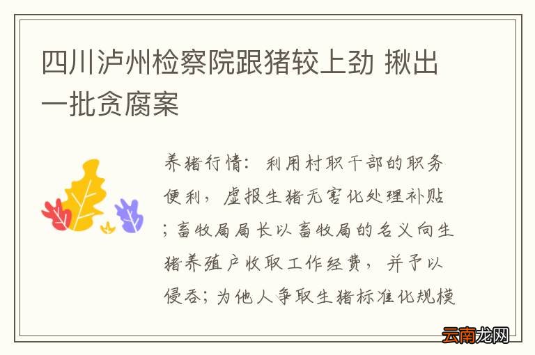 四川泸州检察院跟猪较上劲 揪出一批贪腐案