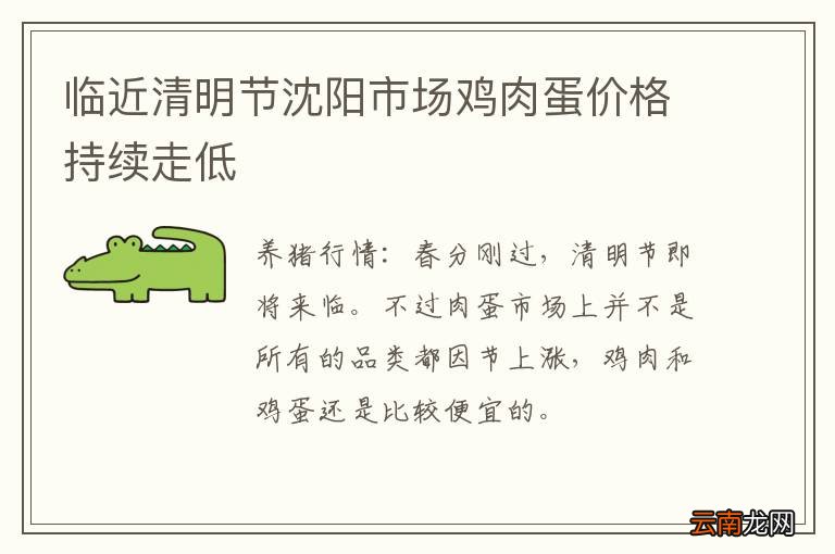 临近清明节沈阳市场鸡肉蛋价格持续走低