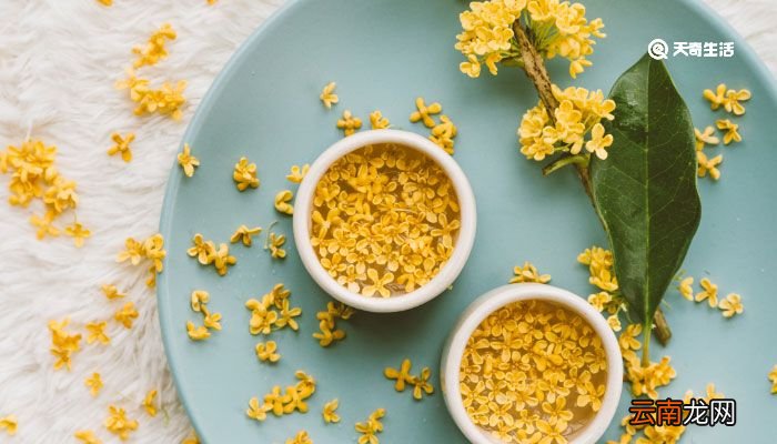 开心的句子说说心情 开心一日游的心情说说