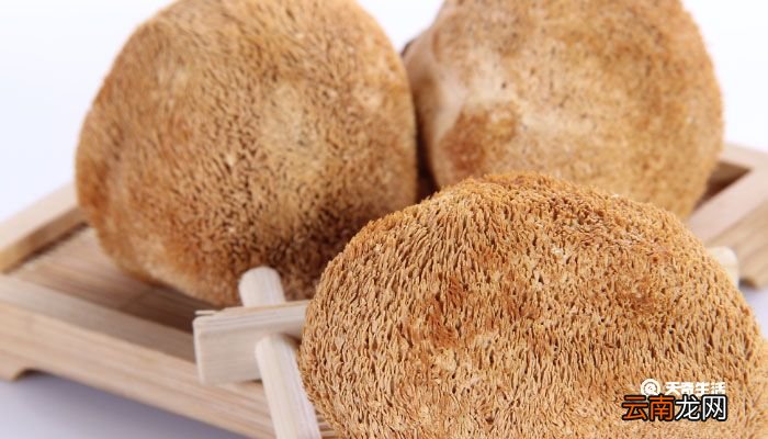 干货有哪些 干货有哪些品种