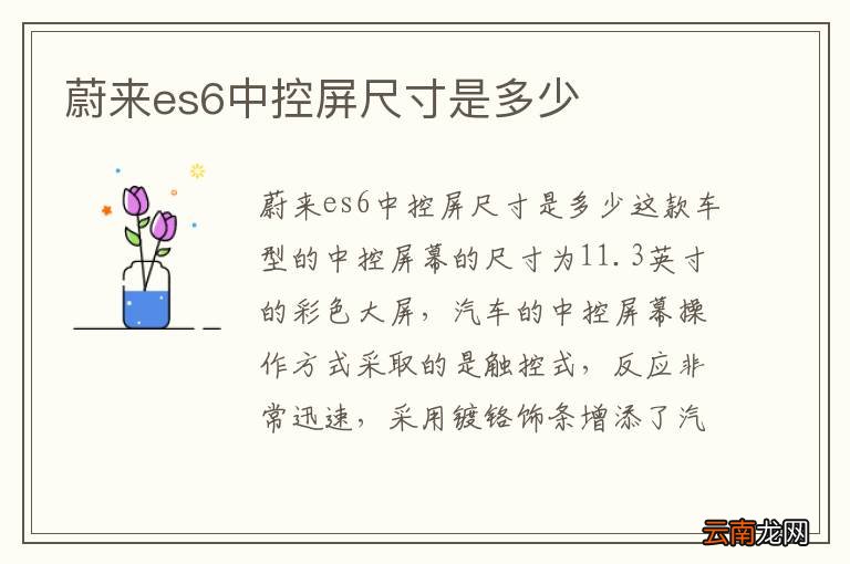 蔚来es6中控屏尺寸是多少