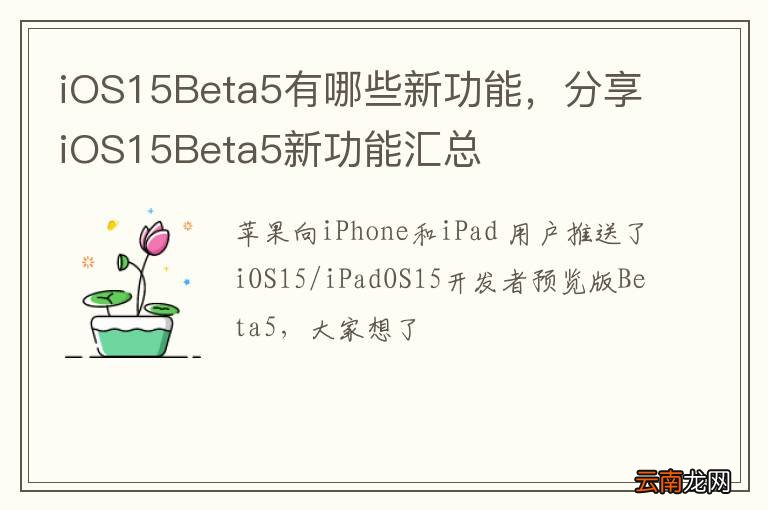 iOS15Beta5有哪些新功能，分享iOS15Beta5新功能汇总