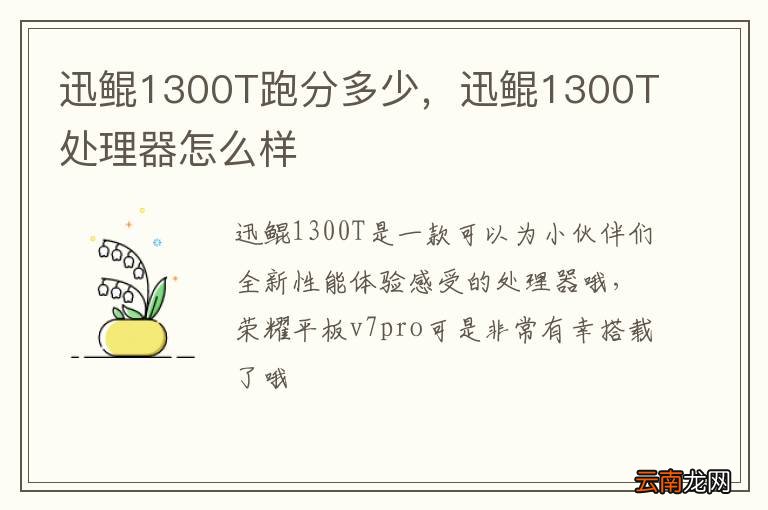 迅鲲1300T跑分多少，迅鲲1300T处理器怎么样
