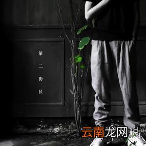 悬溺在哪听 葛东琪悬溺在线听