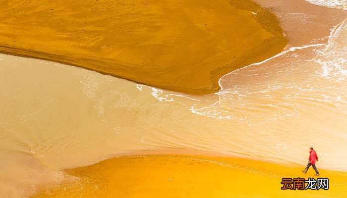 土笋冻制作原料 土笋冻制作原料为