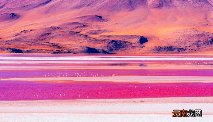 南美有哪些国家南美含有哪些国家