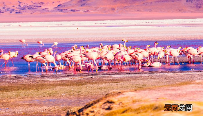 南美有哪些国家南美含有哪些国家