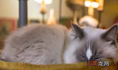 开灯睡觉的危害 开灯睡觉有什么坏处