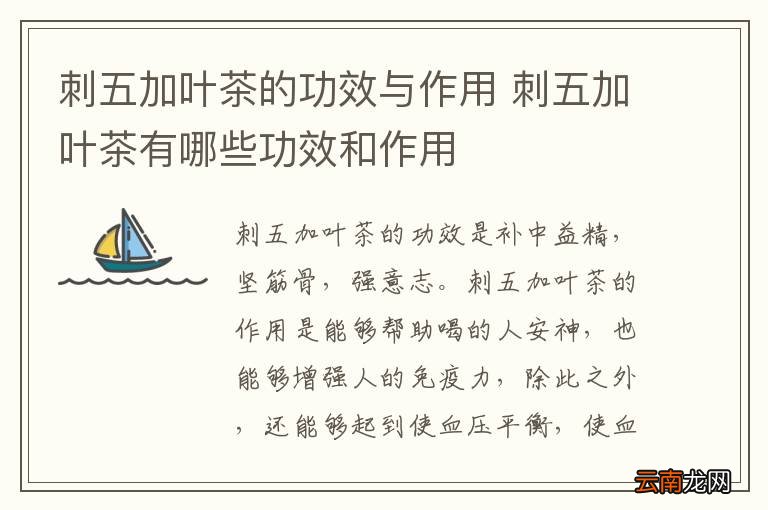 刺五加叶茶的功效与作用 刺五加叶茶有哪些功效和作用