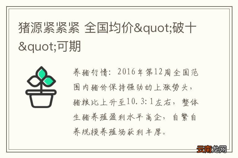 猪源紧紧紧 全国均价"破十"可期